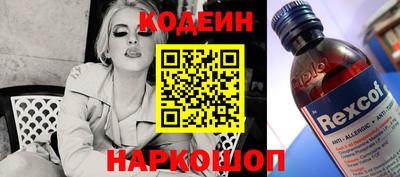 спиды Кингисепп
