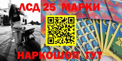 шишки Кимры