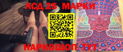 спиды Кингисепп