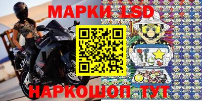 спиды Кингисепп