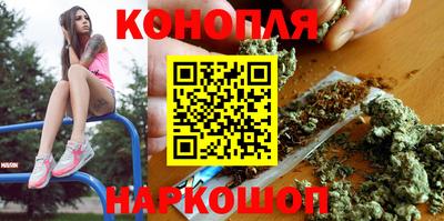 спиды Кингисепп