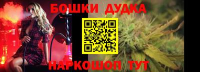 спиды Кингисепп