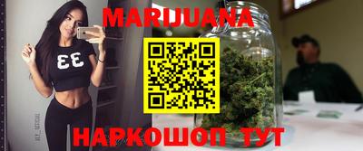 спиды Кингисепп