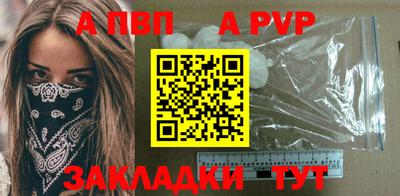 спиды Кингисепп