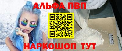 спиды Кингисепп