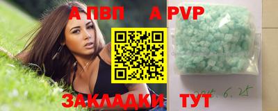 спиды Кингисепп