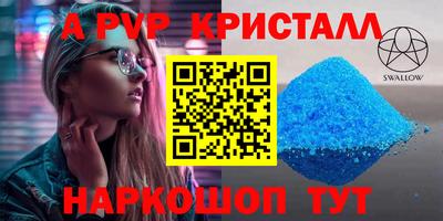спиды Кингисепп