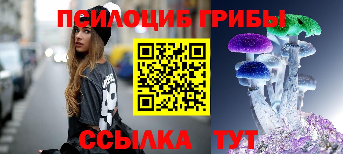 Кузнецк  Псилоцибиновые грибы Psilocybe  Вход с VPN  Галлюциногенные грибы Psilocybine cubensis 